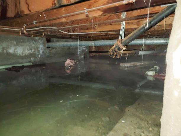 Local water damage restoration in Lindon, UT