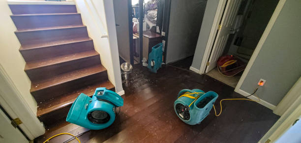 Best Commercial water damage restoration  in Lindon, UT