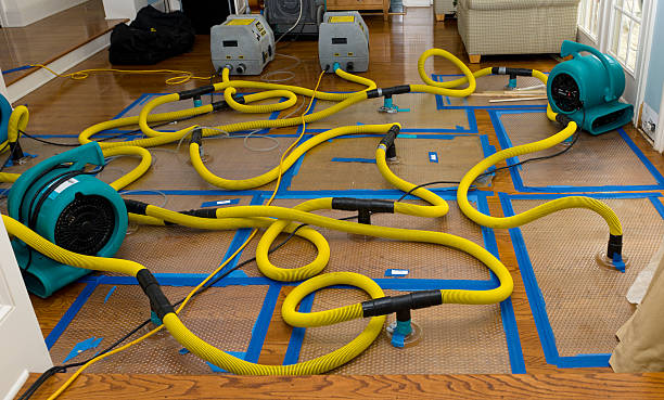 Water damage restoration process in Lindon, UT