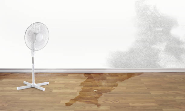 Carpet water damage restoration in Lindon, UT