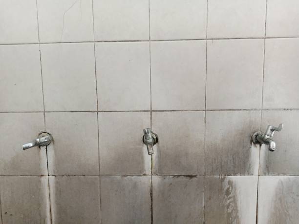 Best 24/7 water damage repair  in Lindon, UT