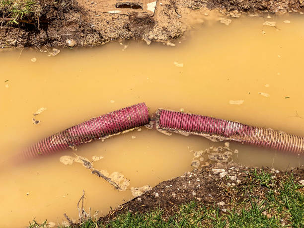 Reliable Lindon, UT Water damage restoration Solutions
